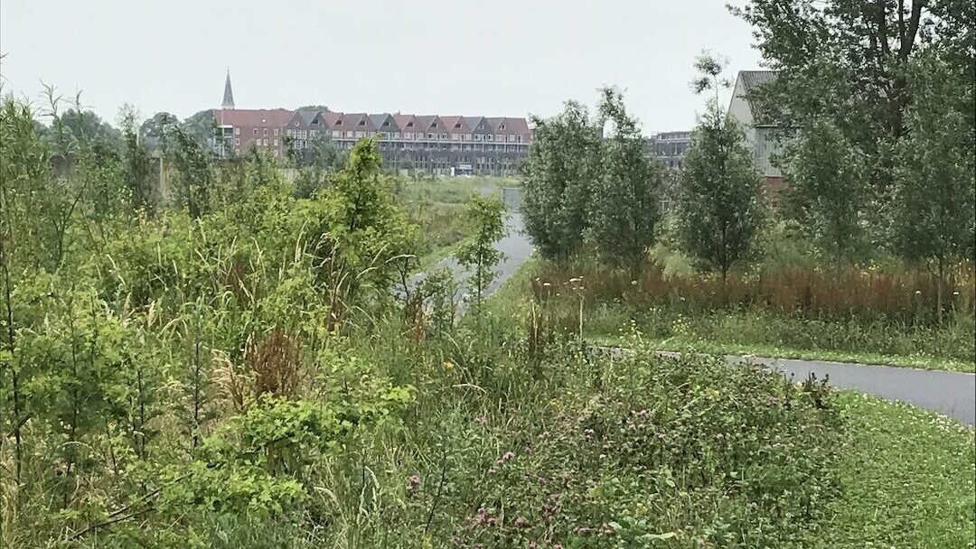 Eendracht landschapspark 2