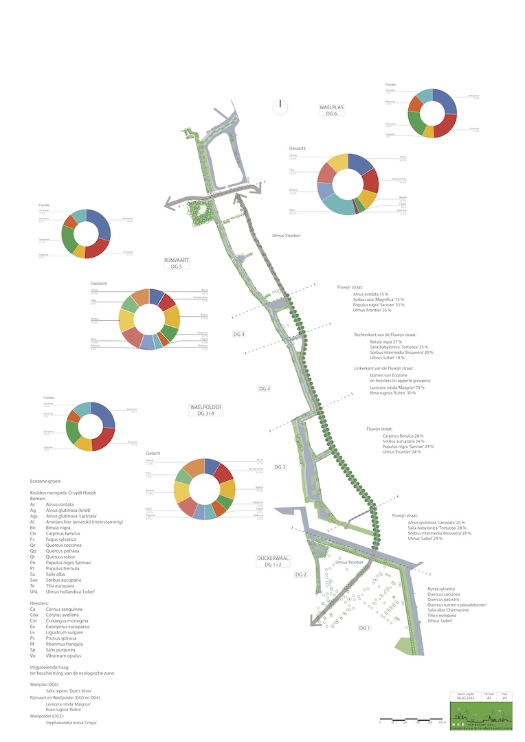 Concept groenstructuur